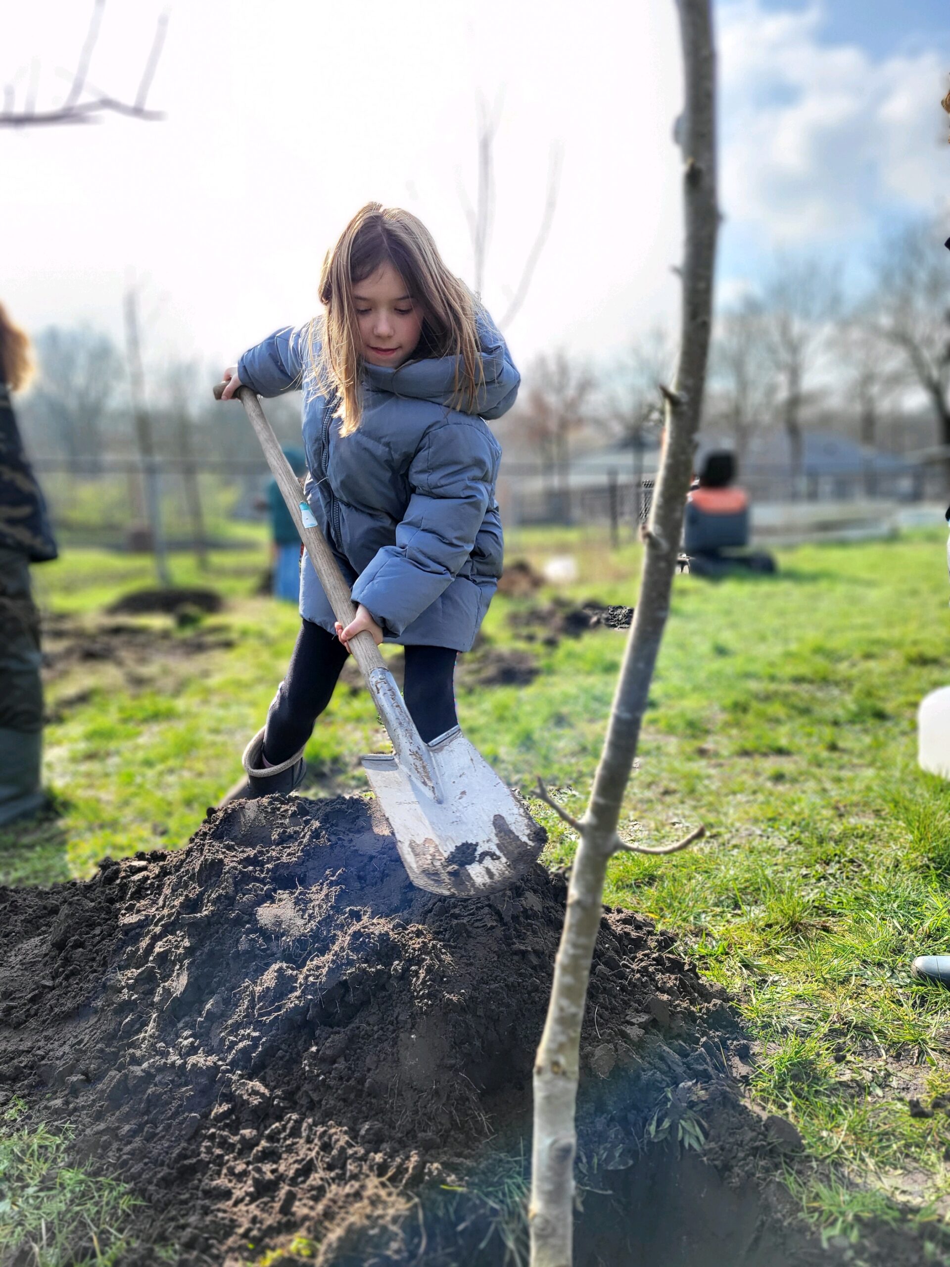De Vlinderboom Loon op Zand